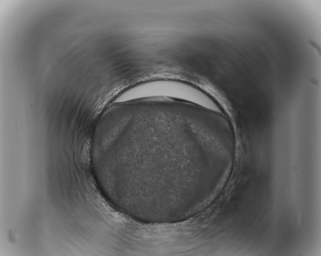 X0000100210009200806201455