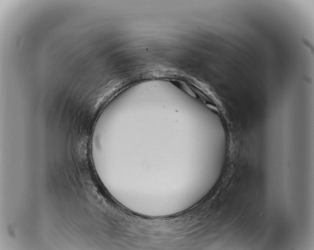 X0000100210010200806201455
