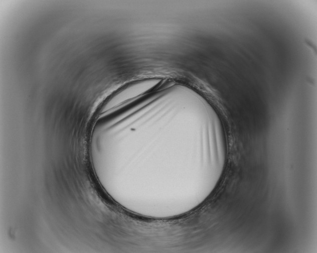 X0000100210012200806201455