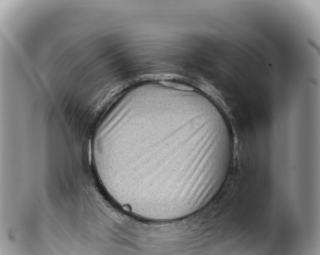 X0000100210013200806201455