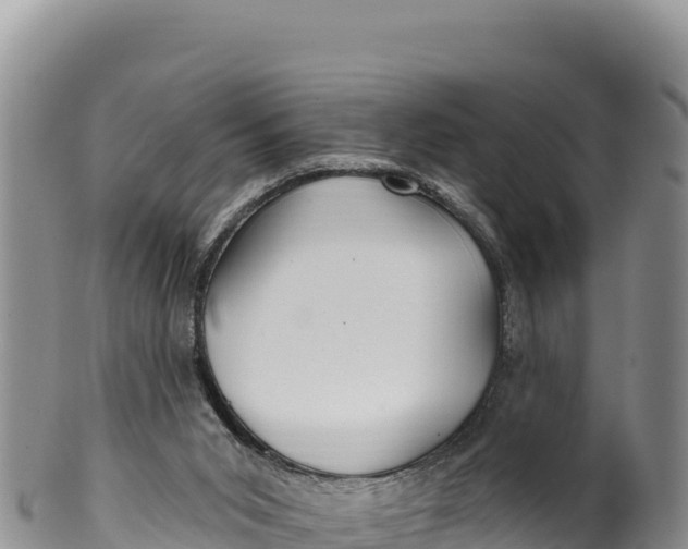 X0000100210015200806201455