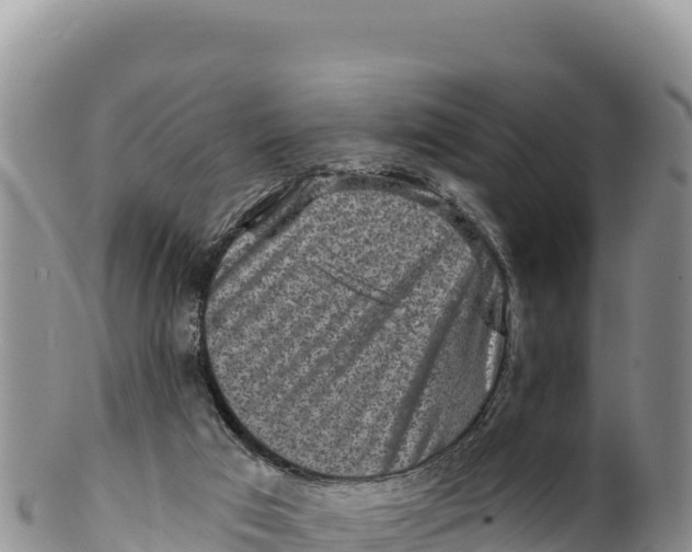 X0000100210017200806201455