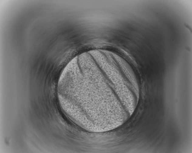 X0000100210018200806201455