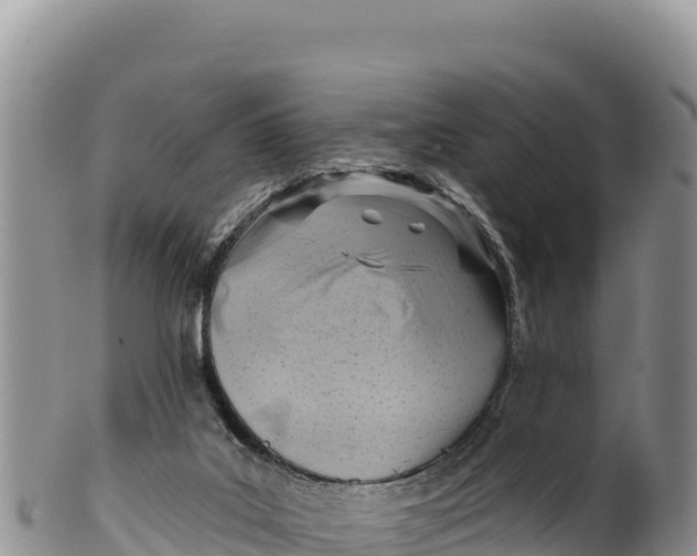 X0000100210019200806201455