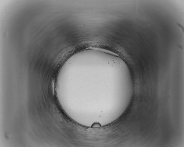 X0000100210022200806201455