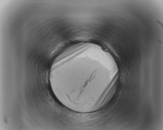 X0000100210023200806201455