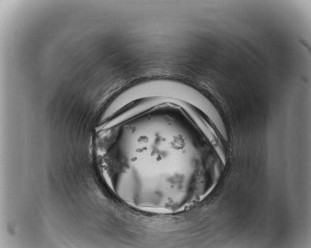 X0000100210024200806201455