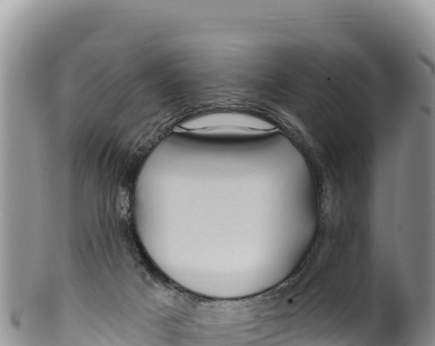 X0000100210025200806201455