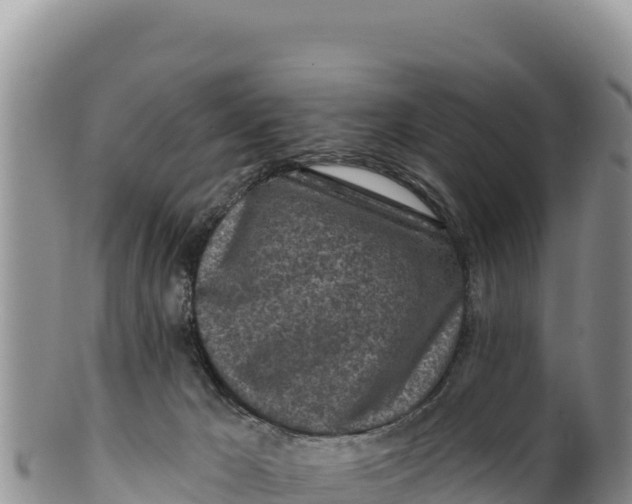 X0000100210029200806201455