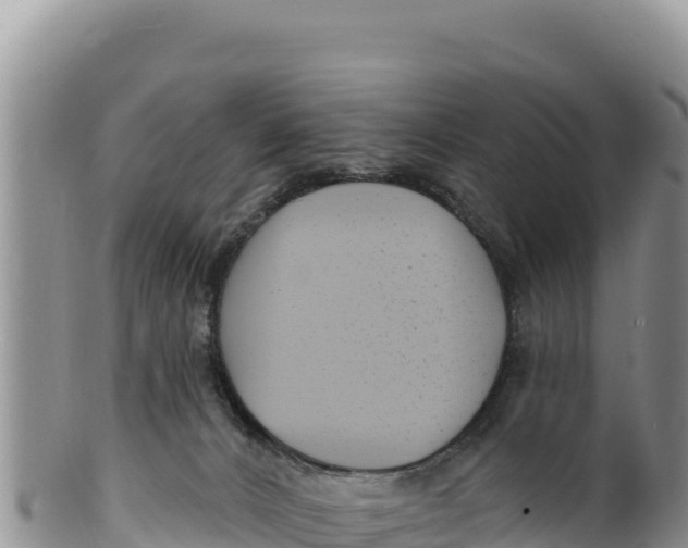 X0000100210032200806201455