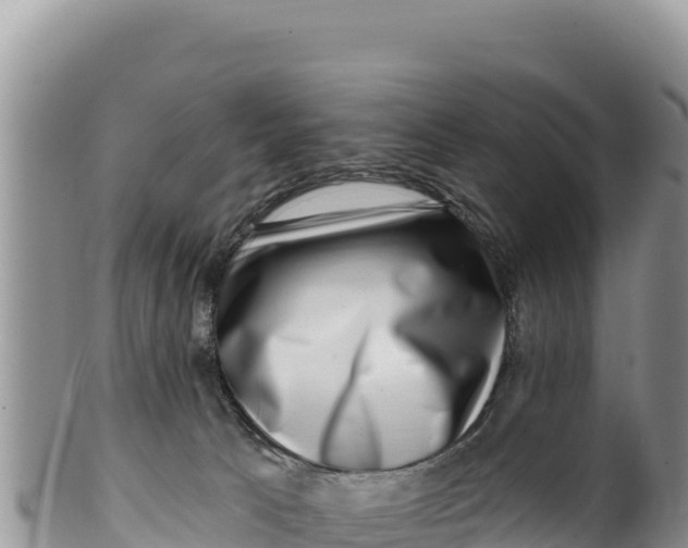 X0000100210033200806201455
