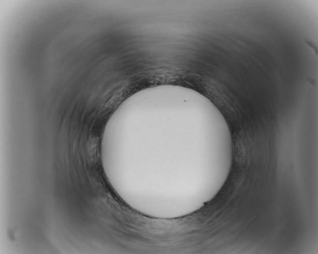 X0000100210034200806201455