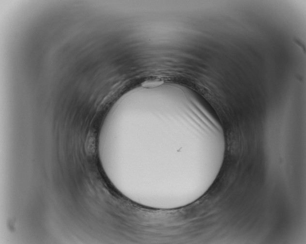 X0000100210036200806201455