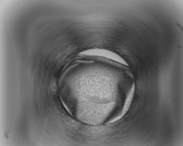 X0000100210037200806201455