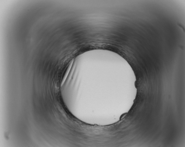 X0000100210040200806201455