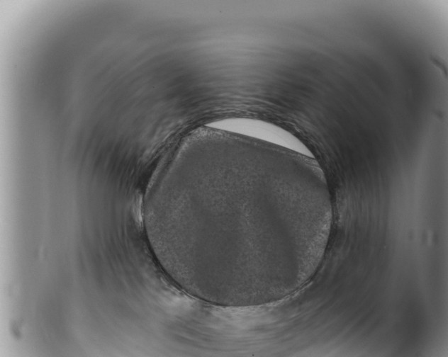 X0000100210041200806201454