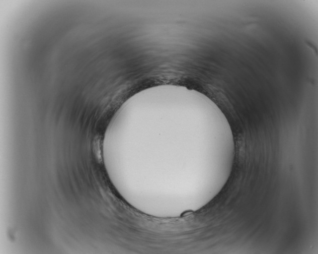 X0000100210042200806201454