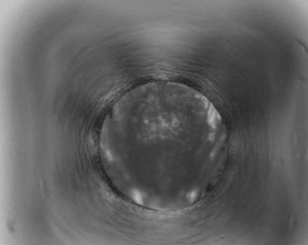 X0000100210043200806201454