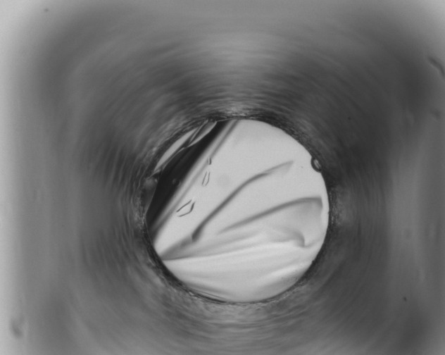 X0000100210044200806201454
