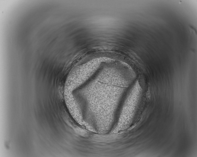 X0000100210045200806201454