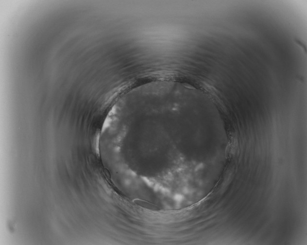 X0000100210047200806201454