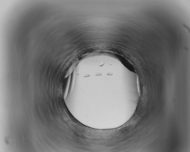X0000100210048200806201454