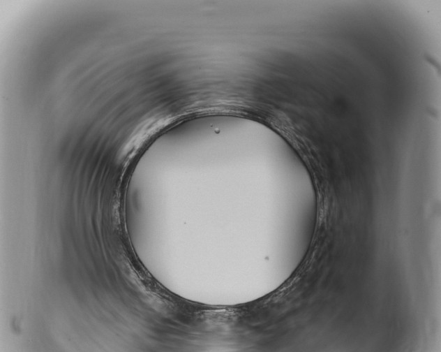 X0000100210050200806201454