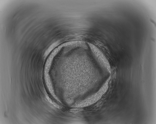 X0000100210051200806201454