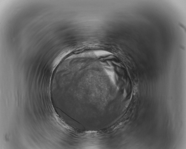 X0000100210052200806201454