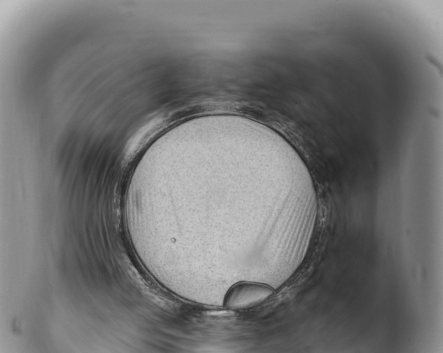 X0000100210053200806201454