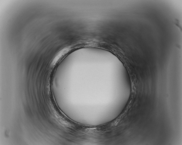 X0000100210054200806201454