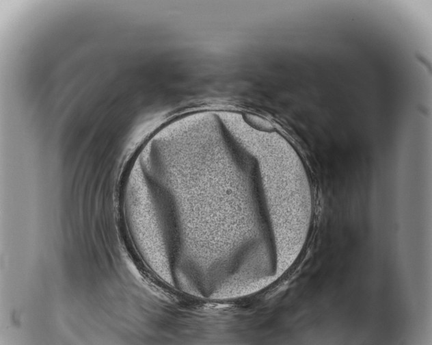 X0000100210055200806201454