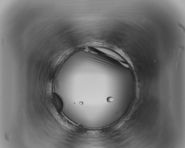 X0000100210057200806201454
