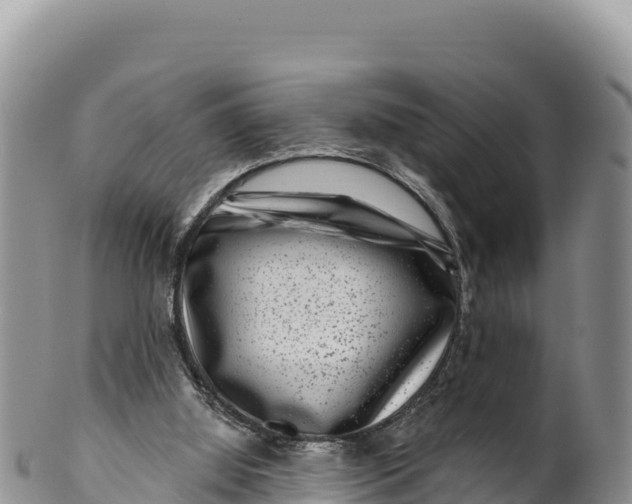 X0000100210060200806201454