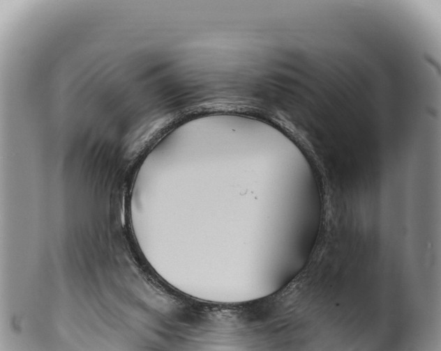 X0000100210062200806201454