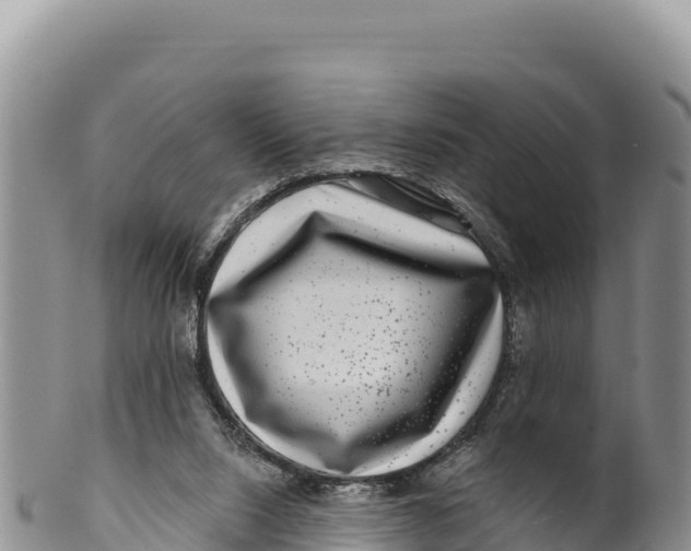 X0000100210064200806201454