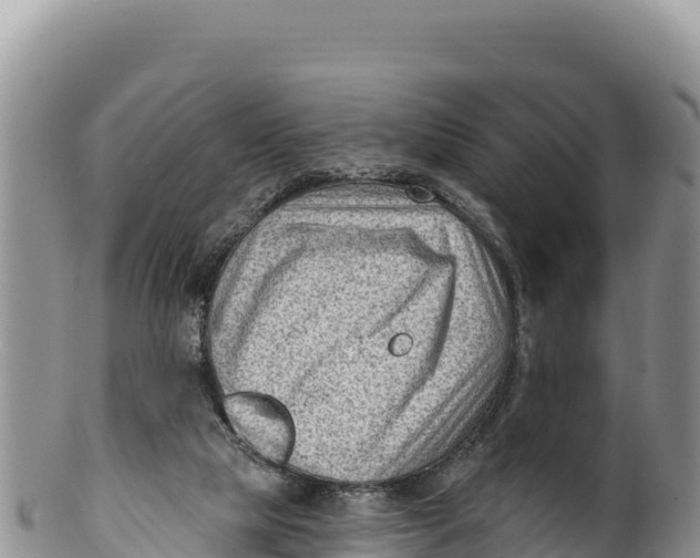 X0000100210065200806201454