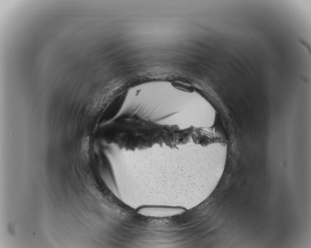 X0000100210066200806201454