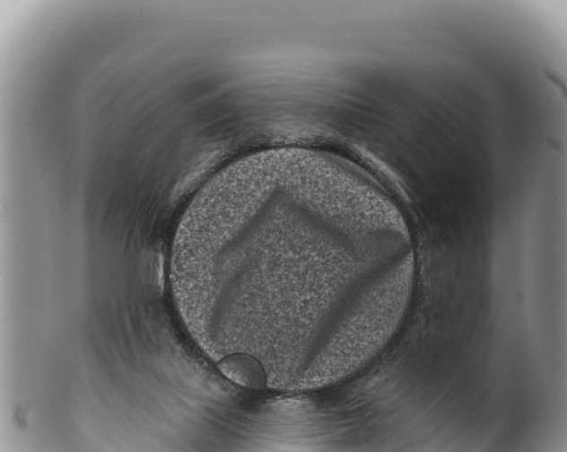 X0000100210067200806201454