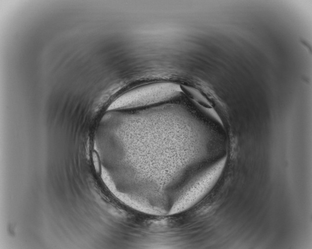 X0000100210068200806201454