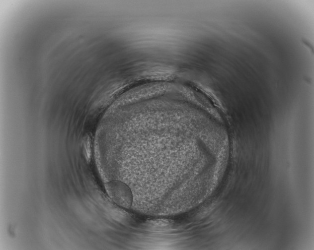 X0000100210069200806201454