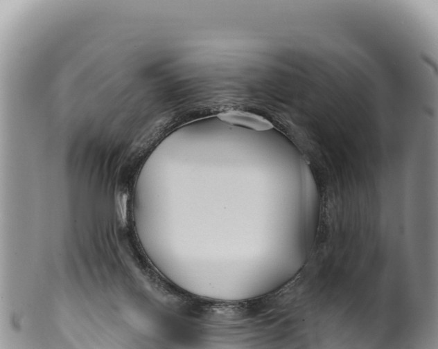 X0000100210070200806201454