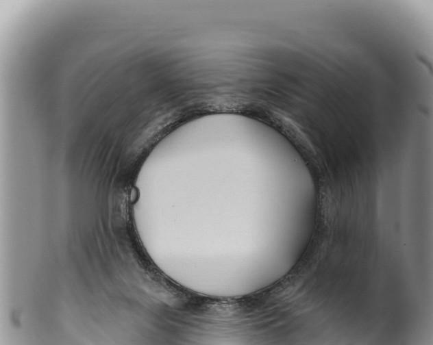 X0000100210071200806201454