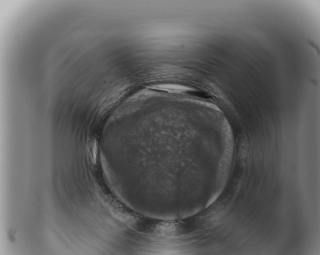 X0000100210076200806201454
