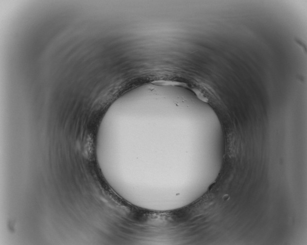 X0000100210077200806201454