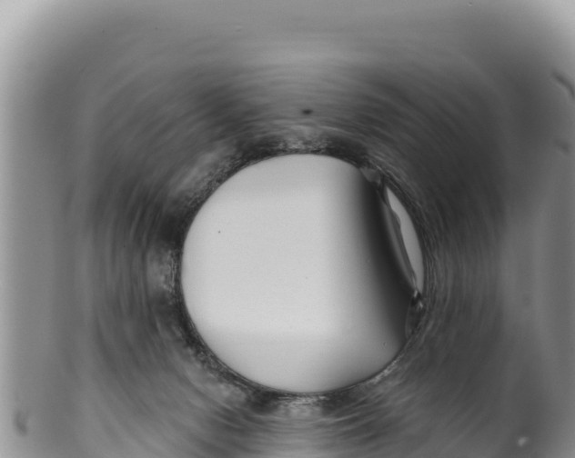 X0000100210078200806201454