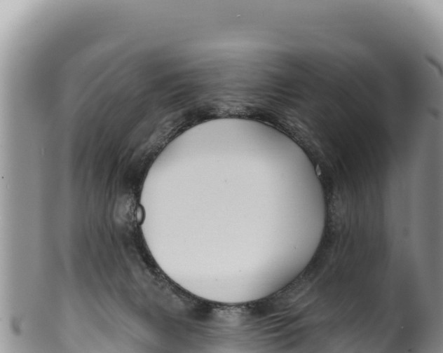 X0000100210079200806201454