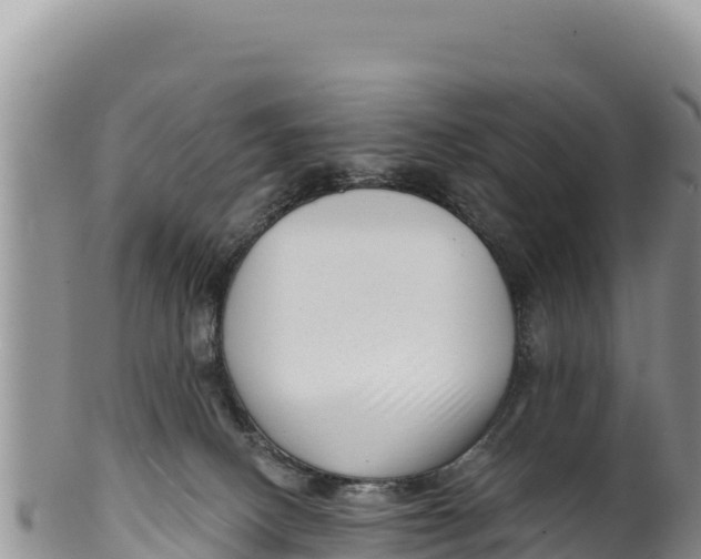 X0000100210082200806201454