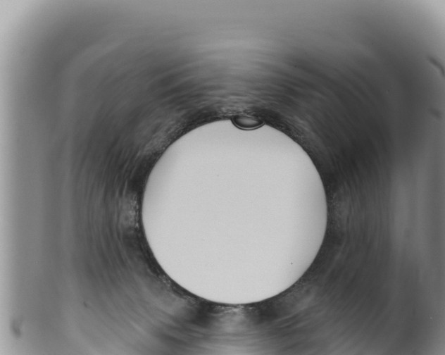 X0000100210083200806201454