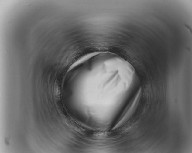 X0000100210084200806201454